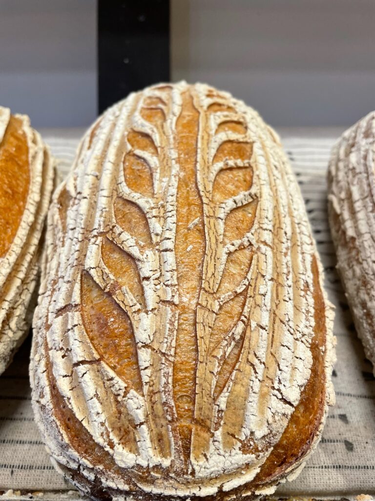 005 Esmeraldas Lilla Fik 4